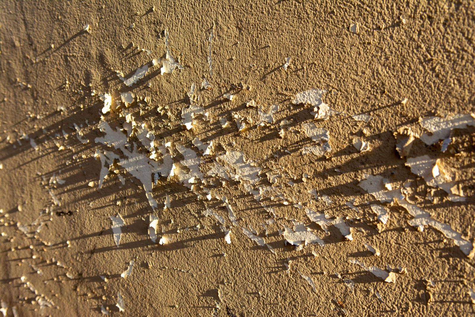 Peeling or Flaking Paint